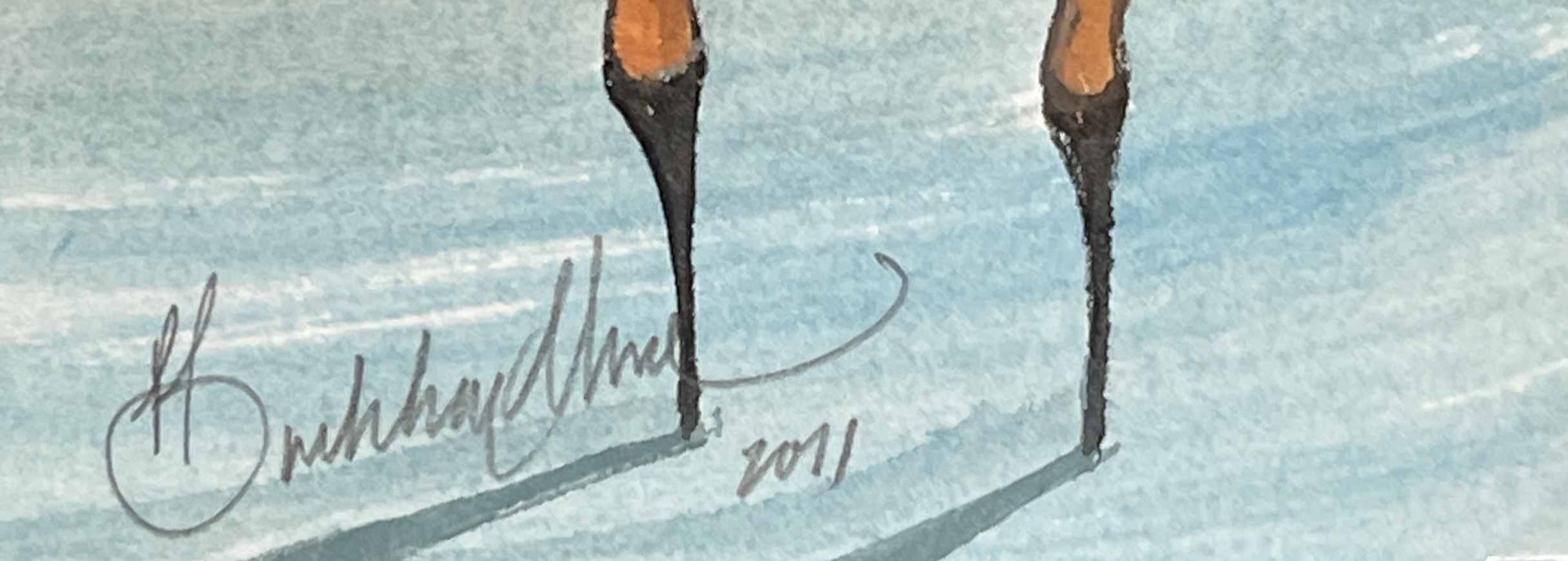 Canada Goose Painting Sognature