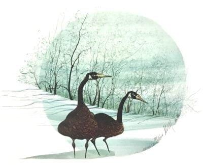 Winter’s Mates
