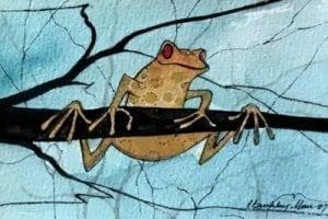 Original watercolor hand painted by P Buckley Moss. Red eyed golden frog hanging from branch.