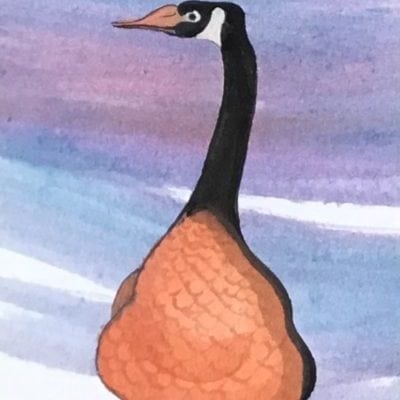 pbuckleymoss-original-watercolor-goose