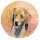 Golden Retriever from the dog collection by P Buckley Moss captures her love of painting realistic dogs and animals by the artist. Colors of tan, rust, gray and rose.