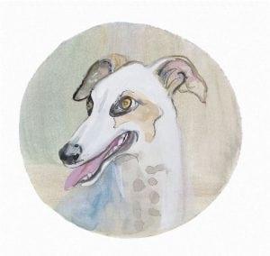 pbuckleymoss-print-limitededition-dog-greyhound