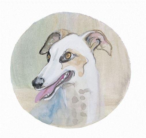 Greyhound pbuckleymoss-print-limitededition-dog-greyhound