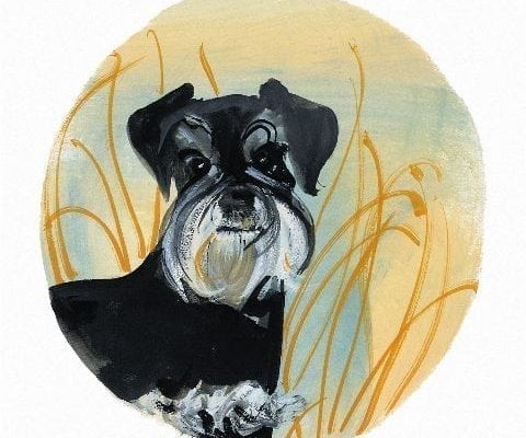 Schnauzer Too limited edition print by P Buckley Moss features a black and white Schnauzer on a background of yellow, aqua and a bit of rust in the grasses,