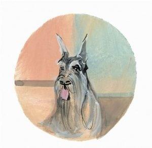 Schnauzer limited edition print by artist P Buckley Moss features the breed in grays, tan and black with a background of peach, aqua and tangerine.