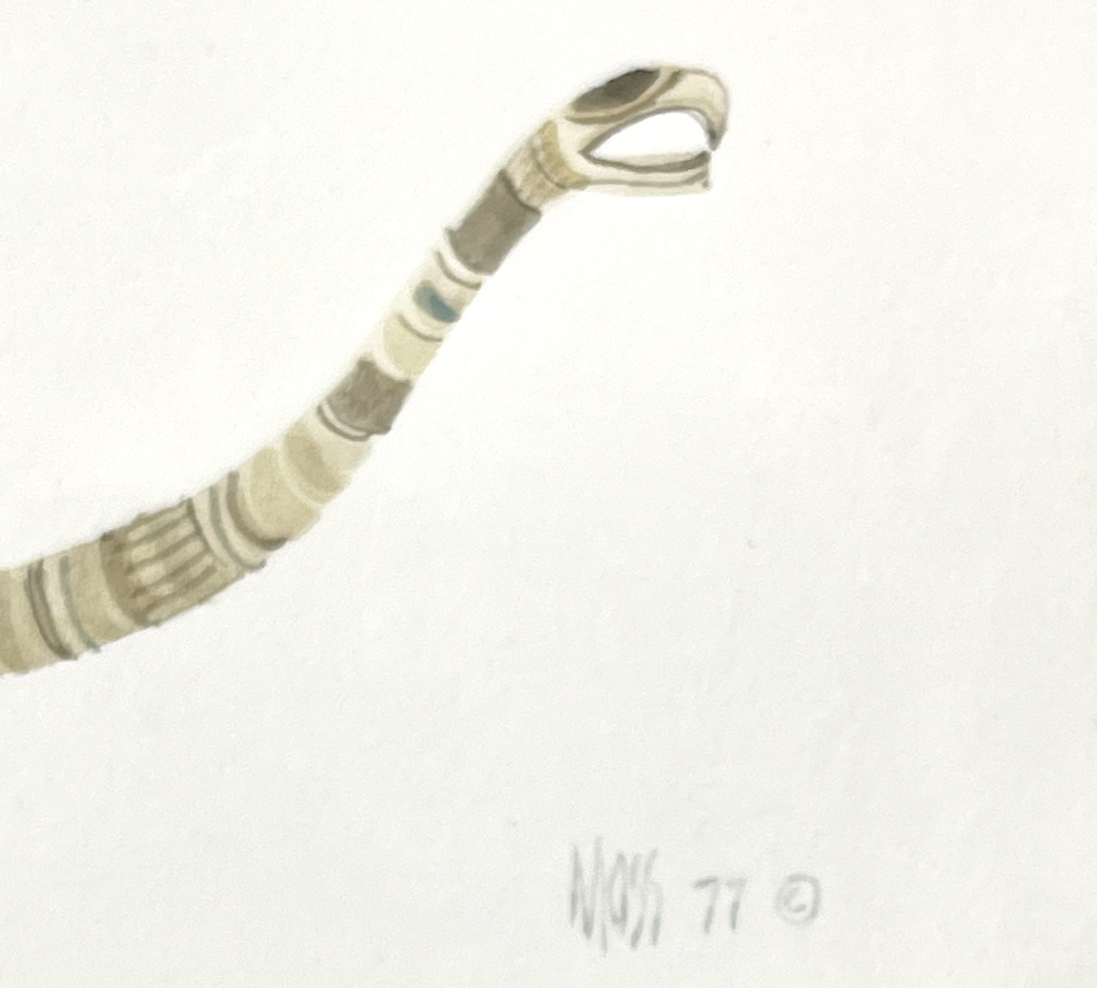 Turtle In Taupe Signature