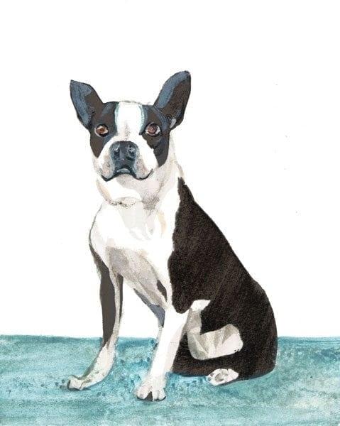 Boston Terrier Dog Limited Edition Print by P Buckley Moss features a black and white dog with some gardk gray markings on a base of aqua and white background.