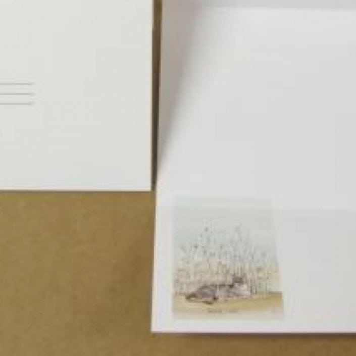 Packaged Notecards with images by P Buckley Moss at Canada Goose Gallery in Waynesville, Ohio pbuckleymoss-notecard-cat