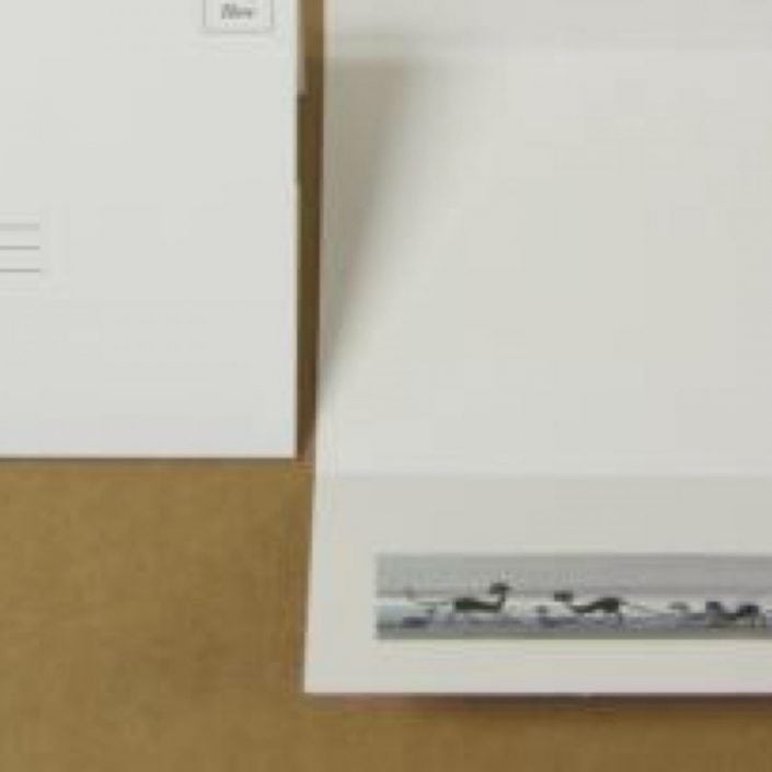P. Buckley Moss self-mailing notecards. Packs of twelve notecards featuring one Moss image. Each pack comes with sticker closures bearing the Moss logo. PBuckleyMoss-Waynesville-Ohio-CanadaGooseGallery-Art-Artist-NoteCard