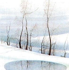 Winter Serenity