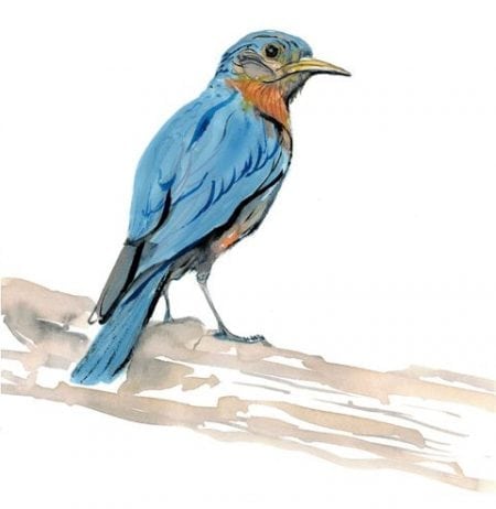 The bluebird limited edition print by P Buckley Moss in shades of blue, tans and earth tones and a hint of rust.