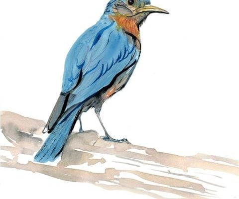 The bluebird limited edition print by P Buckley Moss in shades of blue, tans and earth tones and a hint of rust.