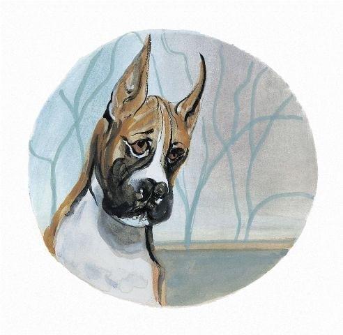 Boxer signed and numbered limited edition print by American artist P Buckley Moss at Canada Goose Gallery in Waynesville, Ohio. Boxer from the dog collection of artist P Buckley Moss features the boxer breed in colors of brown and white with black muzzle. Background in grays and light blue.