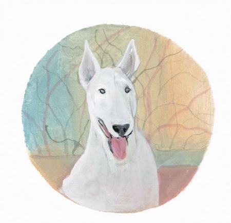 pbuckleymoss-print-limitededition-dog-bull-terrier