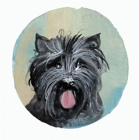 Cairn Terrier pbuckleymoss-print-limitededition-dog-cairn-terrier