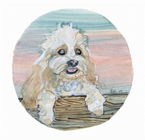 Cockapoo by P Buckley Moss pbuckleymoss-prints-limitededition-cockapoo-dog-art