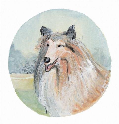 Collie signed and numbered limited edition print by American artist P Buckley Moss features a realistic Collie dog in white tan, rust and gray with a background of light aqua, soft green and tan.