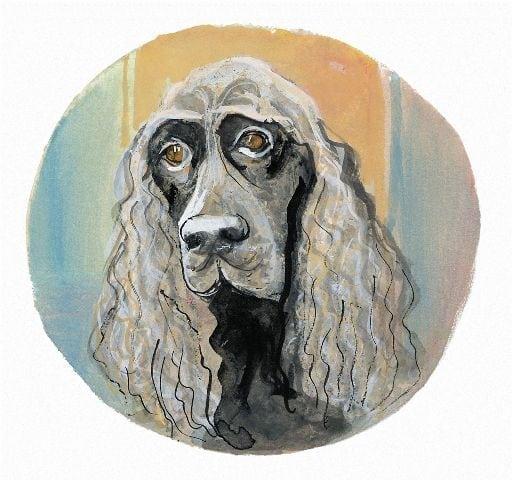 Field Spaniel limited edition print is a life-like portrait of this breen featuring colors of light and dark grays and black for the dog against a background of aqua, gold and tan.