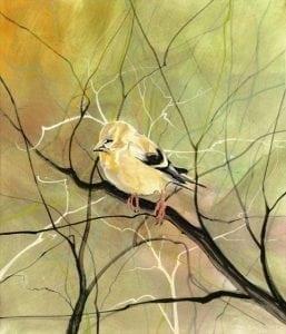 pbuckleymoss-print-giclee-bird-goldfinch
