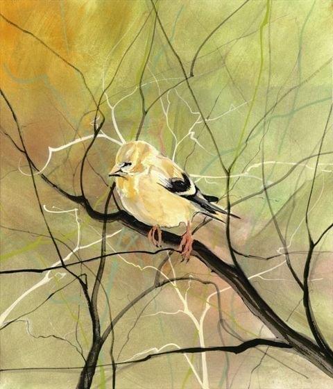 The Goldfinch pbuckleymoss-print-giclee-bird-goldfinch