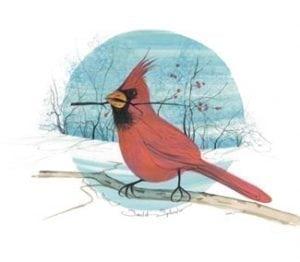 Bird-cardinal-limitededition-print-pbuckleymoss-decor