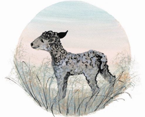 NurseryRhyme-Spring-Lamb-PBuckleyMoss