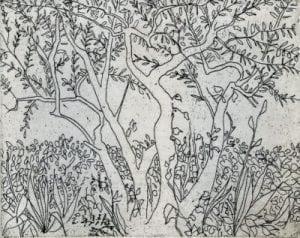 pbuckleymoss-etching-limitededition-trees-landscape