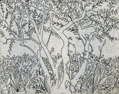 The Olive Tree Signed and numbered, limited edition etching by American artist P Buckley Moss at Canada Goose Gallery in Waynesville, Ohio. pbuckleymoss-etching-limitededition-trees-landscape