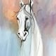 Wise Spirit limited edition print on canvas by P Buckley Moss features the neck and head of a white horse with a colorful background of peach, blues and grays.