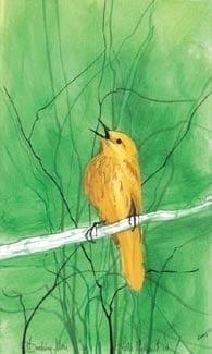 Little Yellow Bird limited edition print by P Buckley Moss features a singing yellow bird on a white branch atop a green background.