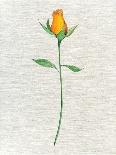 Amore on Silver metal limited edition print by P Buckley Moss at Canada Goose Gallery in Waynesville, Ohio CanadaGooseGallery-Waynesville-Ohio-Art-Artist-PBuckleyMoss-CanadaGooseGallery-WaynesvilleOhio-LimitedEdition-Print-HomeDecor-Decorating-YellowRose-Optimistic-Flower-MetalPrinting