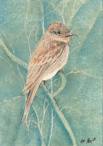 bird-eastern-wood-peewee-limited-edition-print-p-buckley-moss