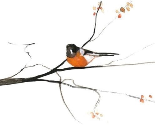 Bird-Spring- PBuckleyMoss-Print-LimitedEdition-CanadaGooseGallery-WaynesvilleOhio