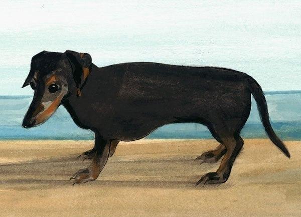 Dachshund limited edition print by P Buckley Moss at Canada Goose Gallery in Waynesville, Ohio pbuckleymoss-print-limitededition-dog-dachshund