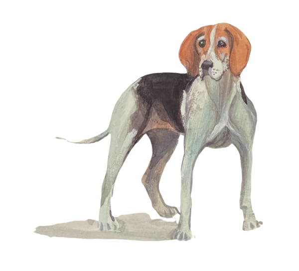 my-hound-dog-limited-edition-print-p-buckley-moss
