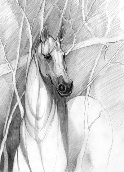 Earthly Spirit limited edition giclee print by P Buckley Moss features a horse coming from the woods featuring colors of white and light and darker gray tones.