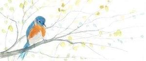 Flicker of Blue limited edition print by P Buckley Moss in blues, a touch of orange and whisp of yellow in the leaves.