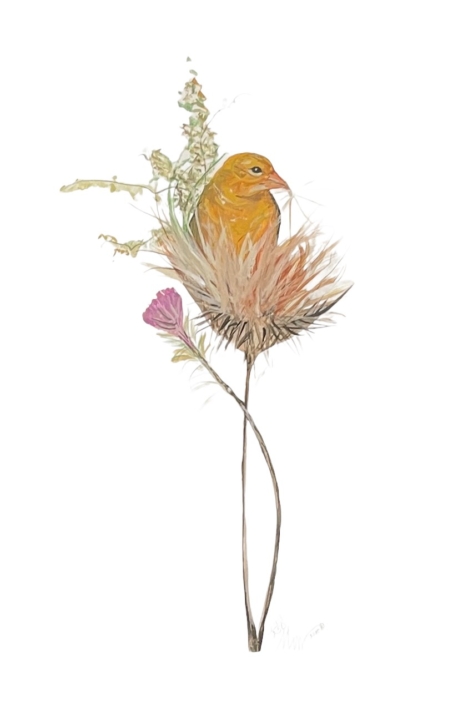 nesting-time-bird-flower-limited-edition-print-p-buckley-moss