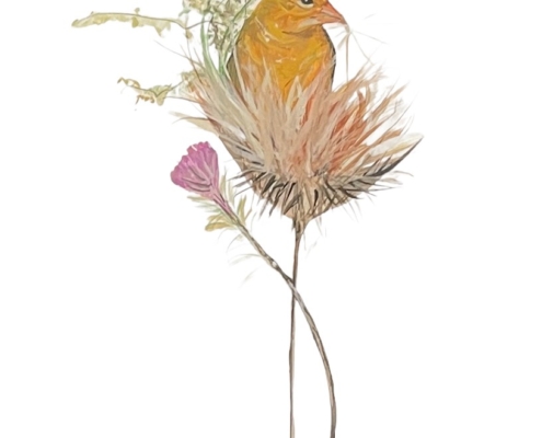 nesting-time-bird-flower-limited-edition-print-p-buckley-moss
