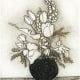 Flowers II etching by P Buckley Moss features a black vase with modern flowers in Sepia tones.