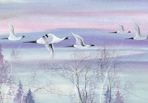 CanadaGooseGallery-Waynesville-Ohio-geese-goose-pbuckleymoss-print-limitededition-art