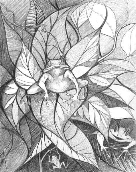 Hiding in Plain Sight signed and numbered, limited edition print by P Buckley Moss at Canada Goose Gallery in Waynesville, Ohio Three frogs blending into the garden of hostas. Limited edition print edition by P Buckley Moss