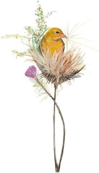 Bird-Limitededition-print-PBuckleyMoss-art