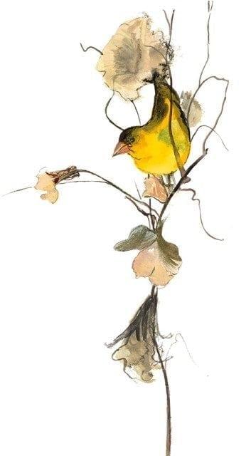 Perfect Perch bird-limited-edition-print-pbuvkleymoss-art-artist-nature