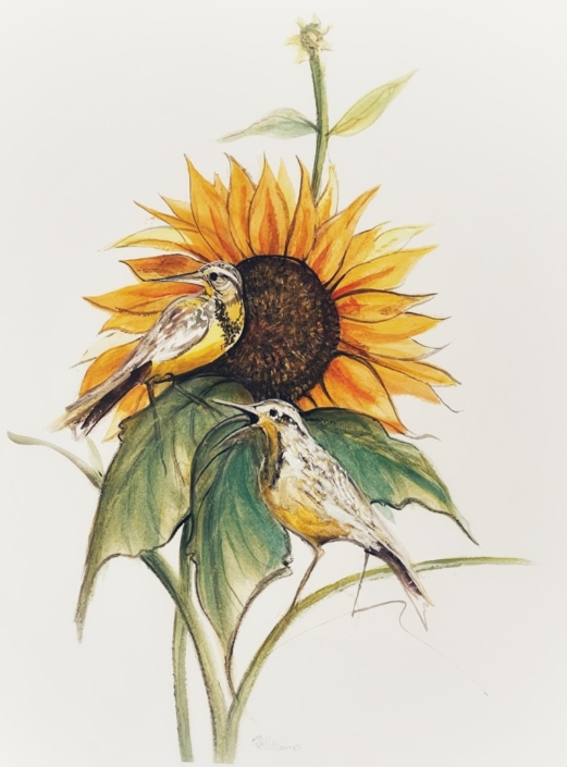 Song of the Sunflower song-of-the-sunflower-p-buckley-moss-print