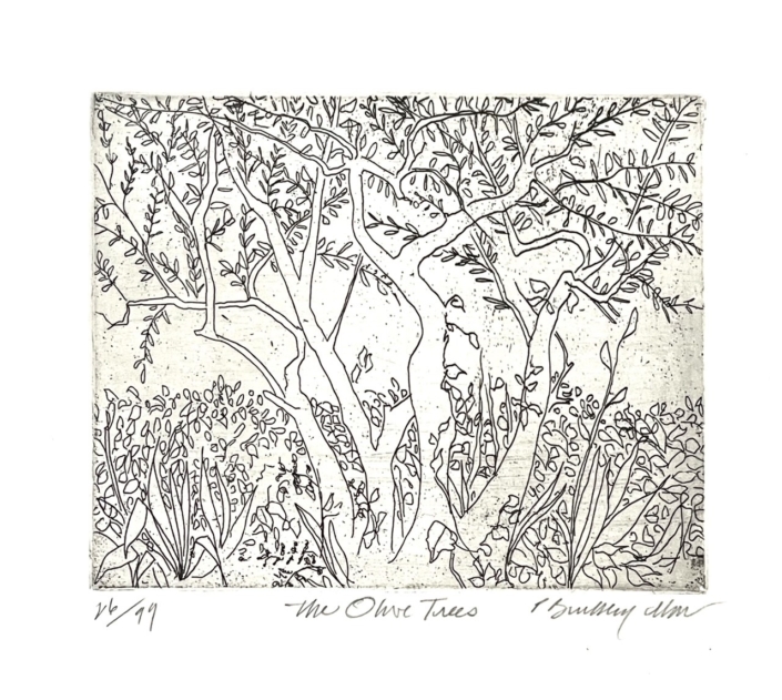 trees-olive-tree-limited-edition-etching-p-buckley-moss