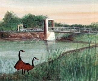 The Walking Bridge