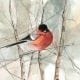 CanadaGooseGallery-Waynesville-Ohio-Sage-Homedecor-pbuckleymoss-bird-robin-sage-color