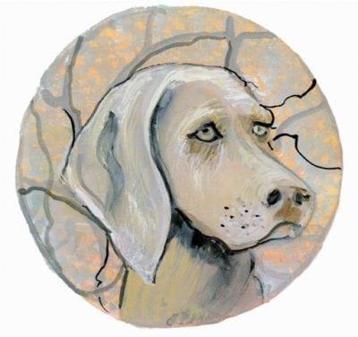 Weimaraner pbuckleymoss-print-limitededition-dog-weimeraner
