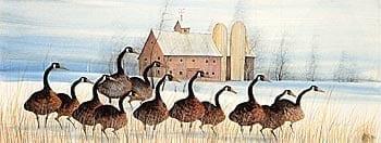 Country Chorus